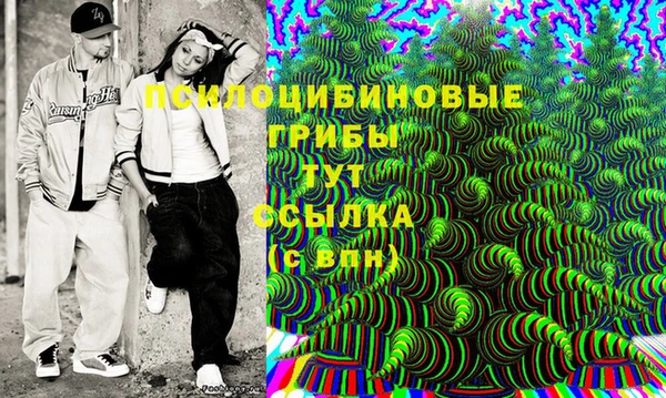 шишки Беломорск